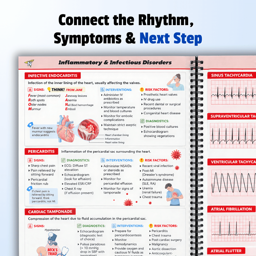 The Complete NCLEX Bundle